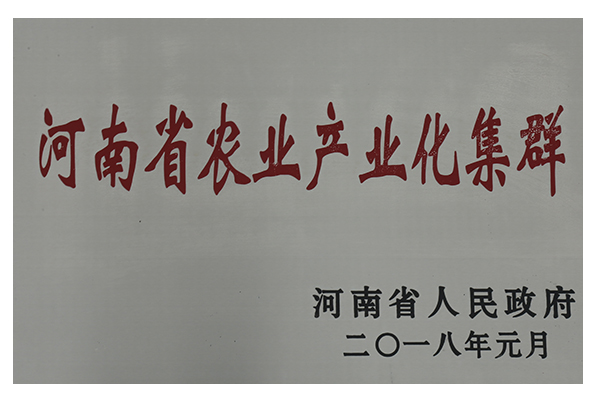 河南省農業產業化集群